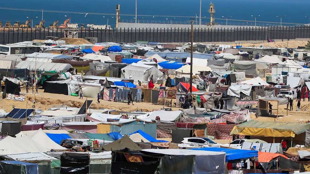 No Water, Food, Health Care, Toilet: Desperation Deepens in Gaza’s Camps