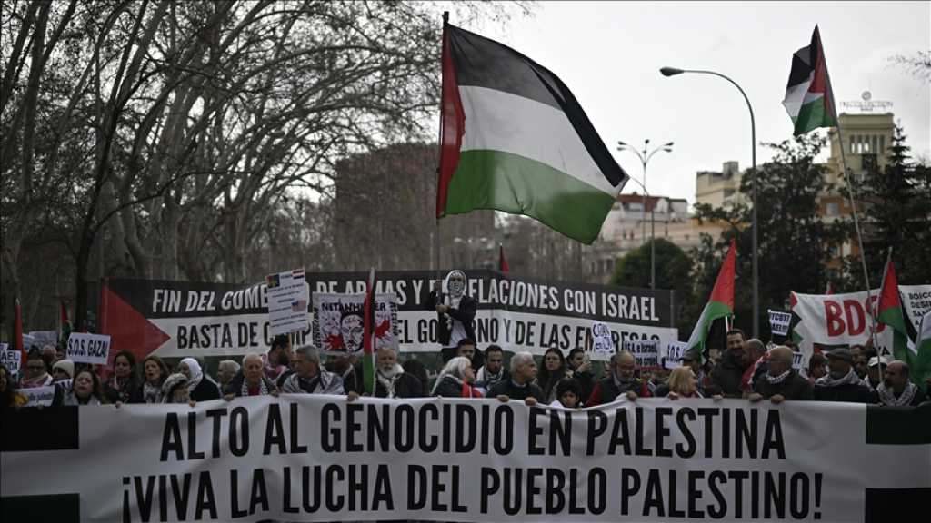 Not to Be Partner in the Genocide: Spain Bans Arms’ Ships Heading to “Israel” from Docking at Its Ports
