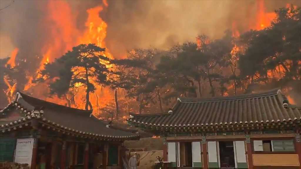 South Korea Faces Deadliest Wildfires in History, Over 26 Dead and 88,000 Acres Burned