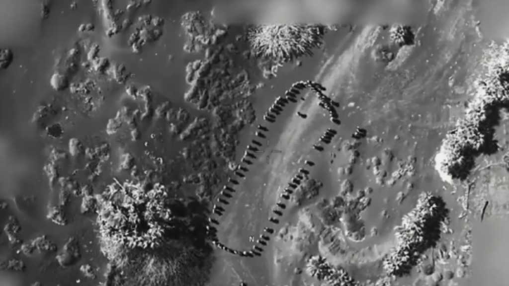 Trump Posts VIDEO of US Strike in Yemen