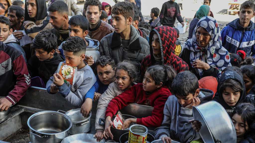 Famine in Gaza: 91% of Population Faces Extreme Food Insecurity