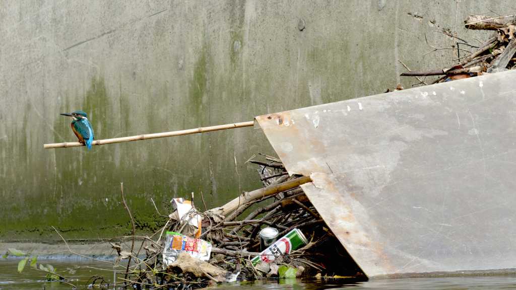 UK: 2,487 Water Pollution Incidents Recorded in 2024