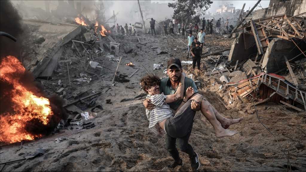 Complete Humanitarian Collapse Imminent in Gaza