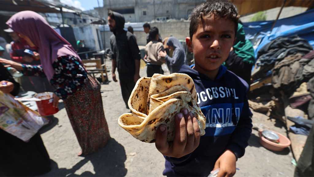 Hamas Says Will Not Engage in Truce Talks Unless ’Israel’ Halts ’Hunger War’ on Gaza