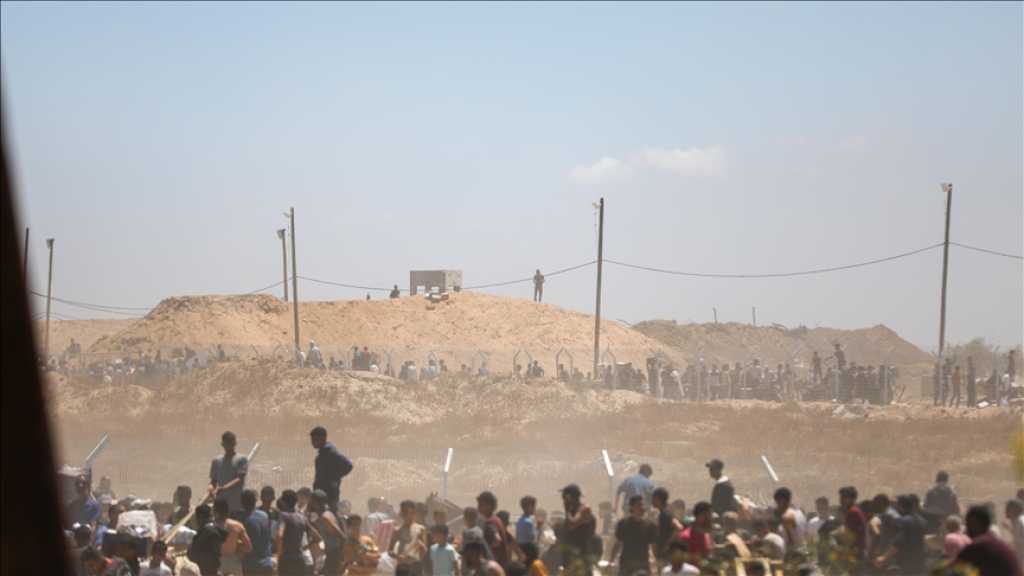 Canadian NGOs Demand Carney Act Upon His Promises on Gaza