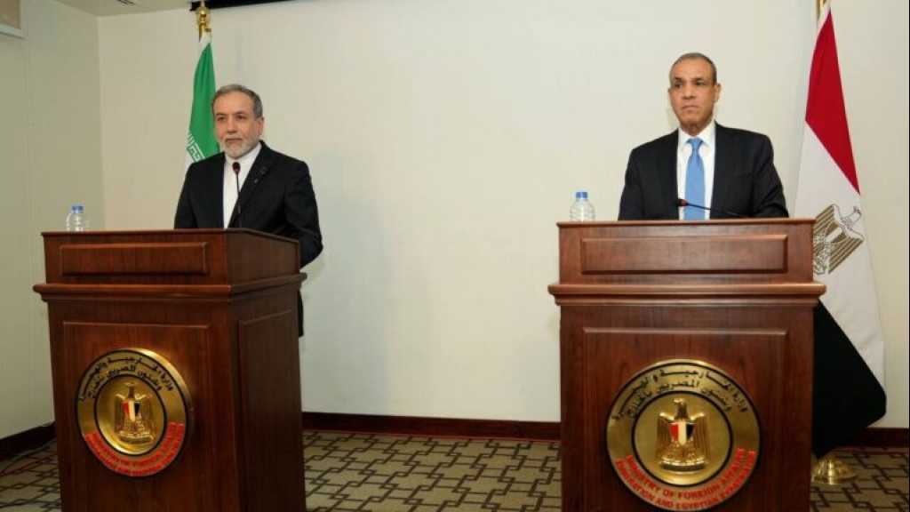 Iran, Egypt Call for Immediate, Permanent Ceasefire in Gaza, Entry of Humanitarian Aid