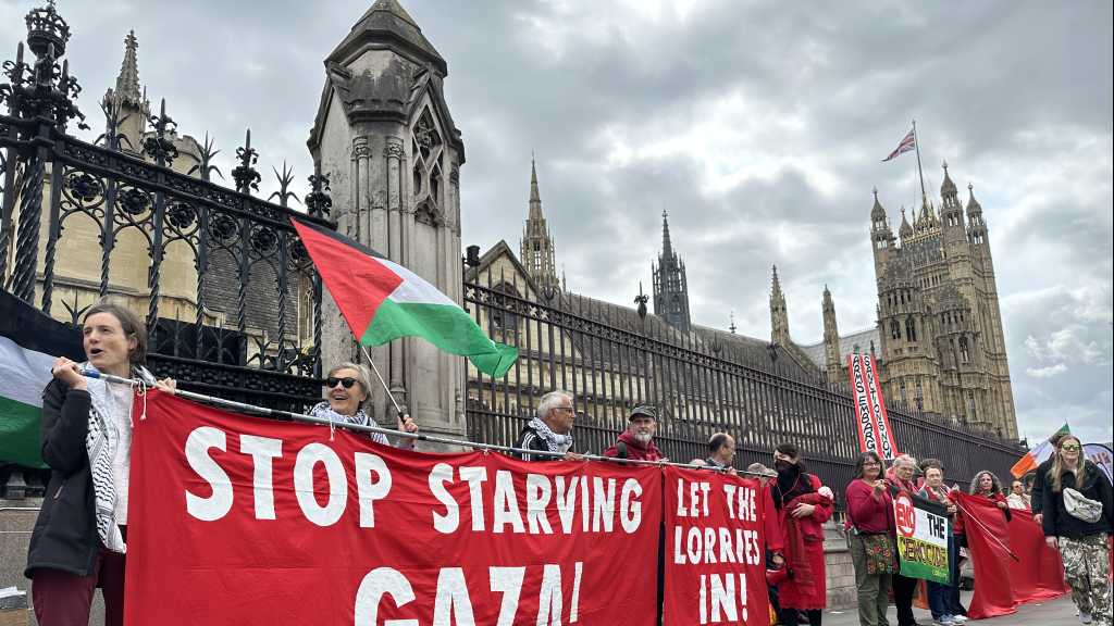 UK Protest in Support of Palestine: Starving Children Red Line