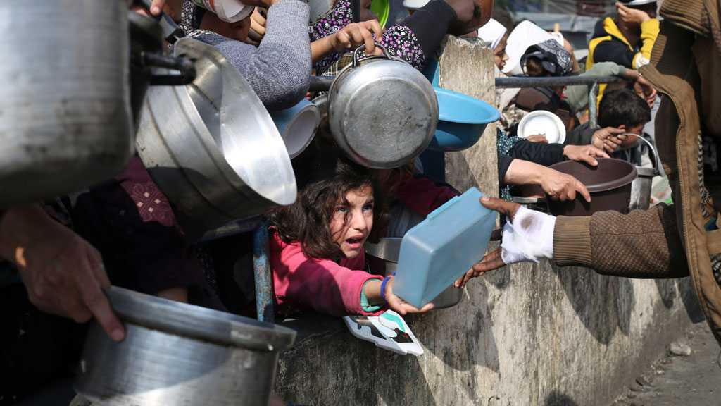 Aid as Ambush: The Horrifying New Face of ’Israel’s’ Gaza War