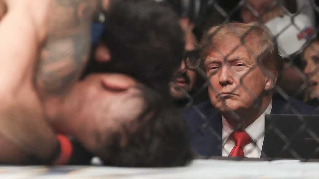 Trump Proposes UFC Fight at White House as Part of America 250 Celebrations