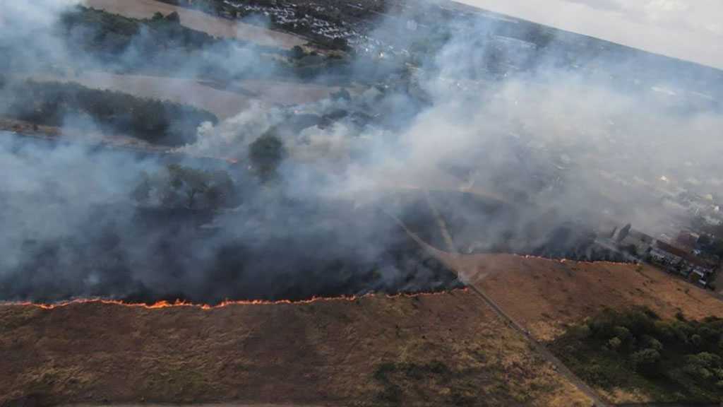 Multiple Wildfires Erupt Across London Amid Scorching Heatwave