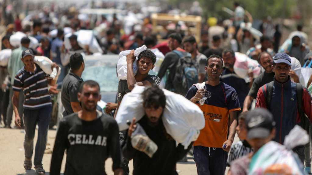 UN: 798 Palestinians Lost Their Lives Seeking Aid in Gaza