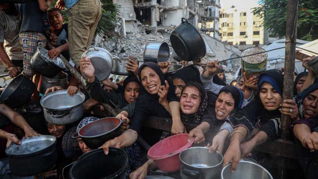Seeking Food: More than 900 Martyrs and 6,000 Wounded in Gaza