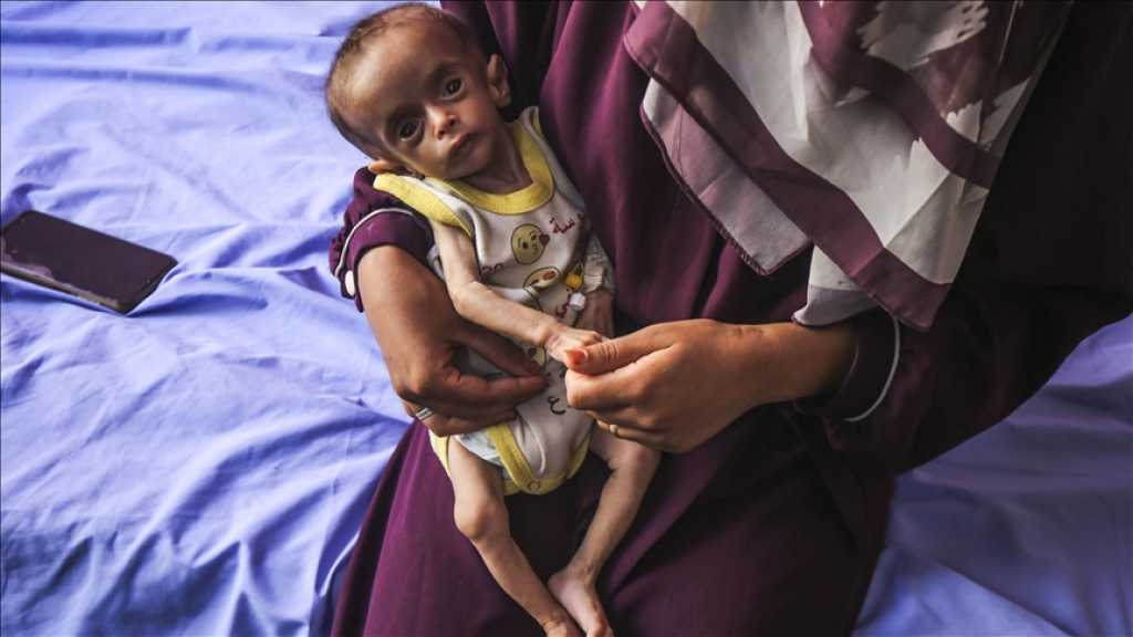 Starvation Spreads in Gaza, UN Warns: Hungry Aid Staff Fainting