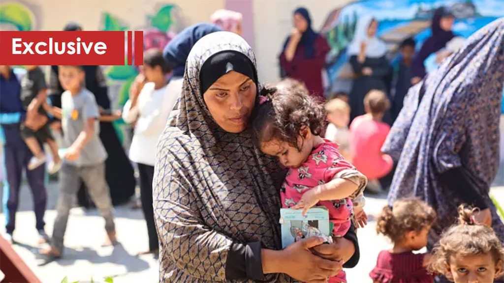 The Hague Group Exposes the Arab Hand in Gaza Genocide