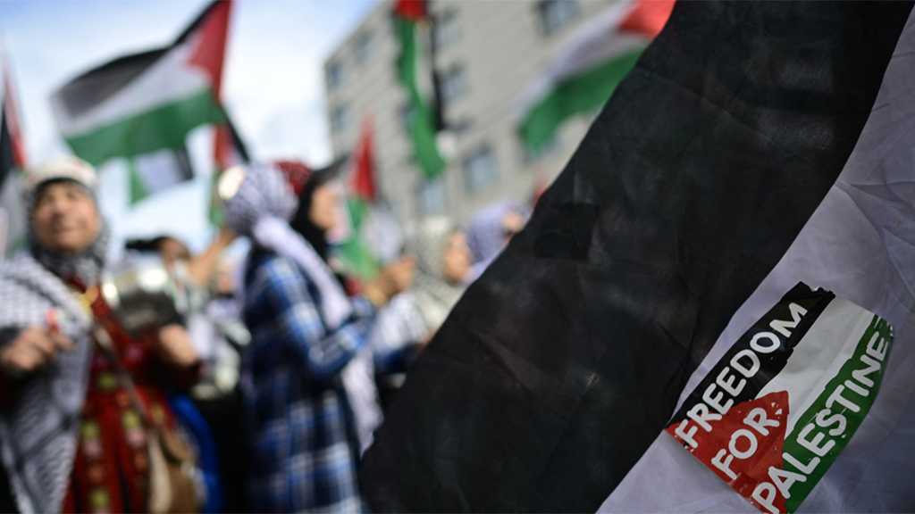 Malta to Recognize Palestinian State at September UN Assembly