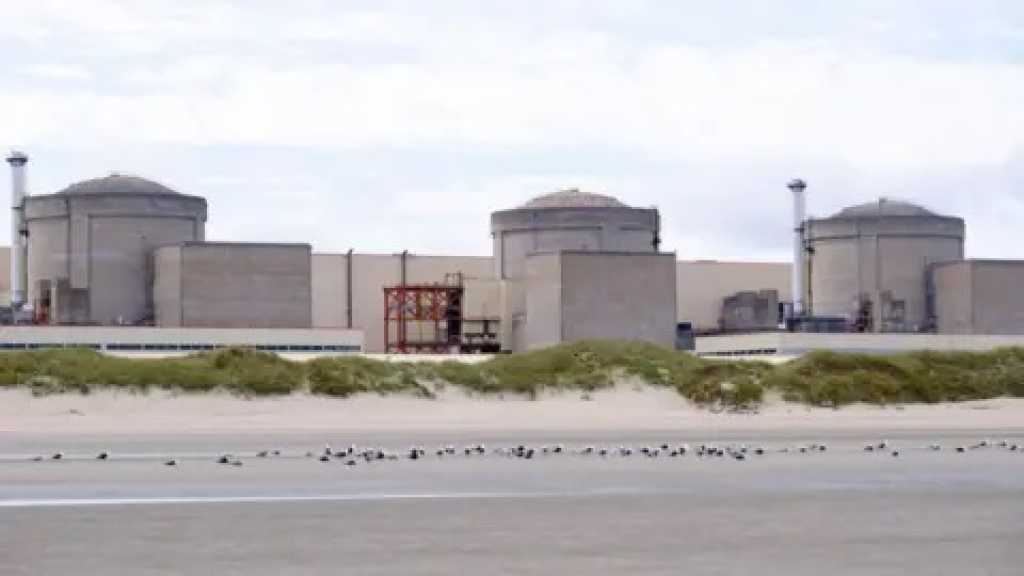 Jellyfish Swarm Shuts Down French Nuclear Plant