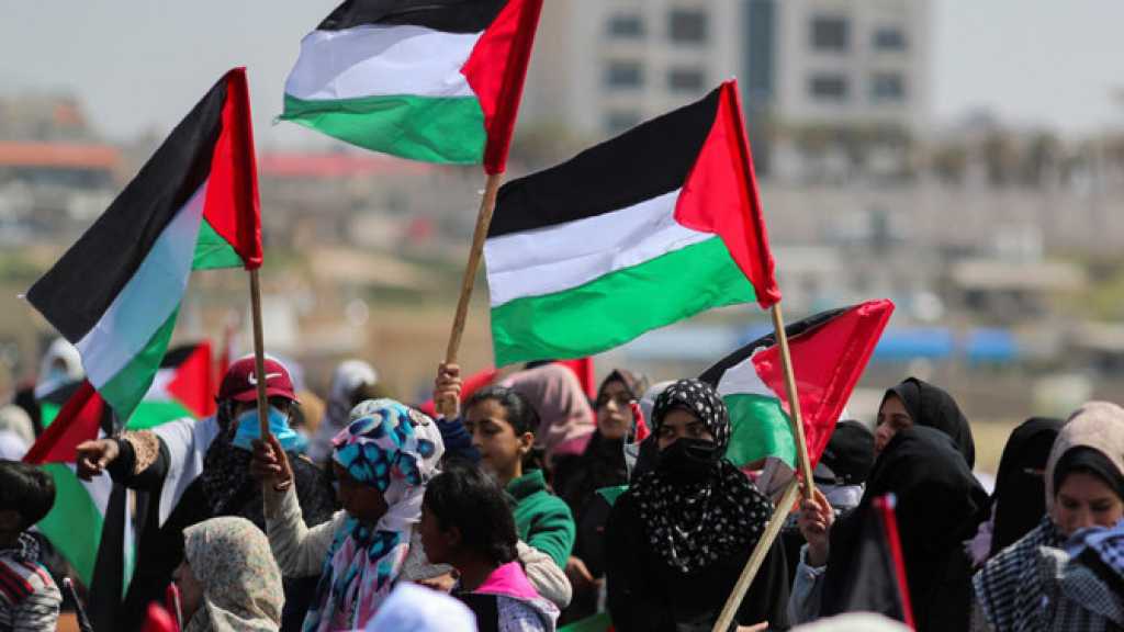 Poll: Most Norwegians Oppose Backing “Israel” In Gaza War