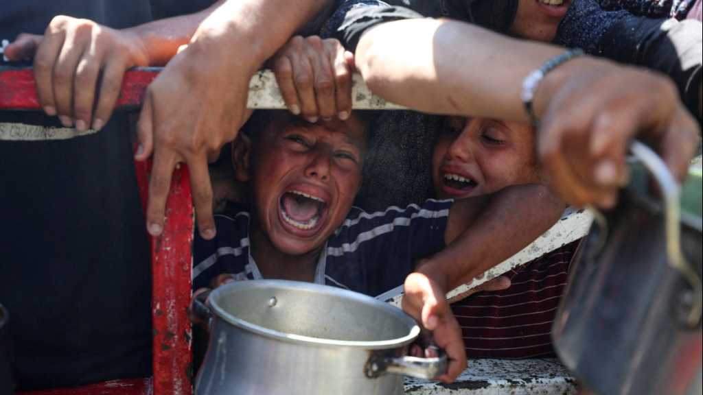 “Israel” Made Famine Martyrs 235 Palestinians in Gaza