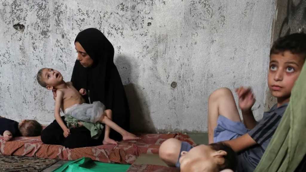 Amnesty Int’l Accuses “Israel” of Starving Palestinians As Death Toll from Hunger Rises