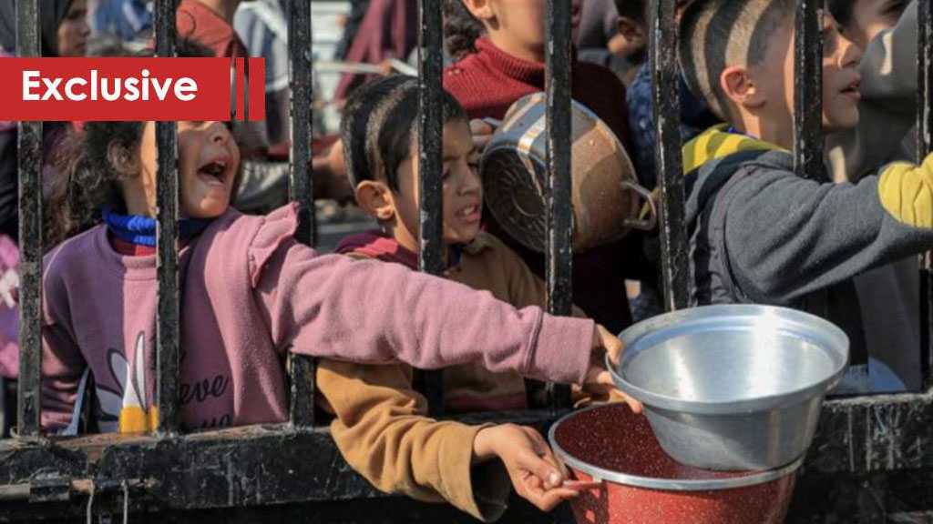 What If Arabs Chose to End Gaza’s Famine Today?