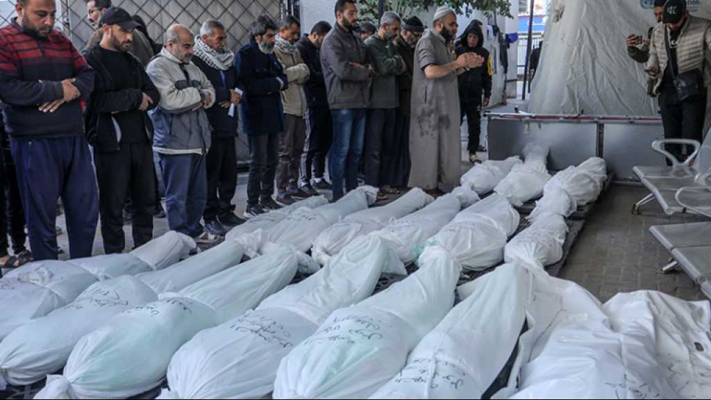 “Israeli” Army Data: 83% of Death Rate in Gaza are Civilians