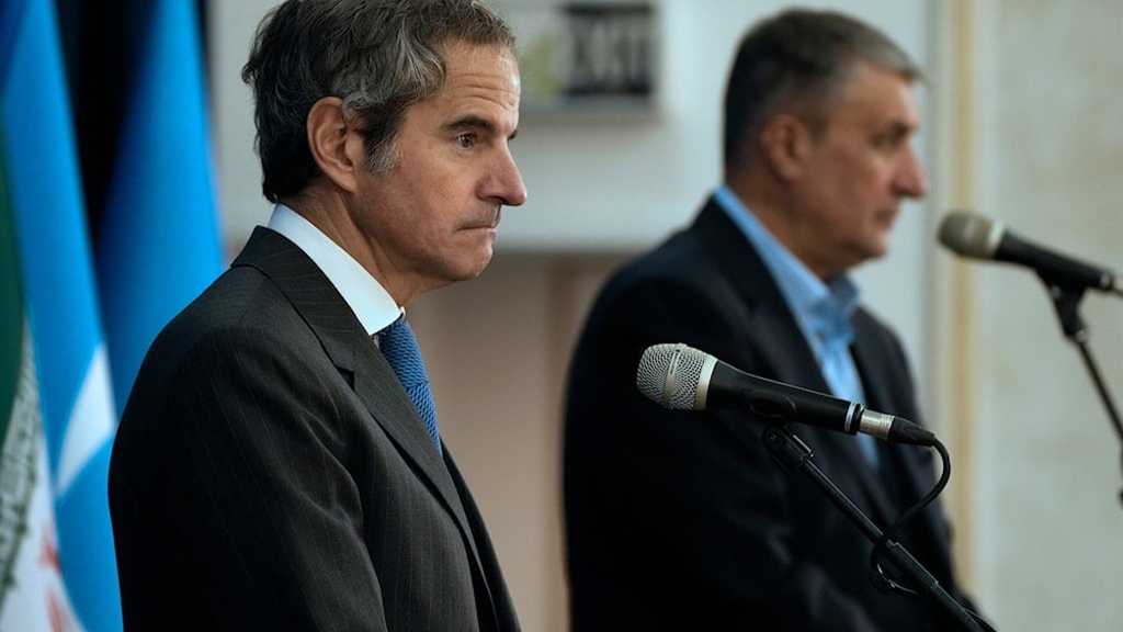 Iran Links IAEA Cooperation to Parliament, SNSC Approval: AEOI Chief