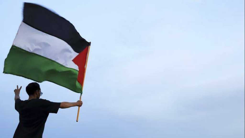 Suspected Drone Attack Hits Gaza-Bound Global Sumud Flotilla in Tunis