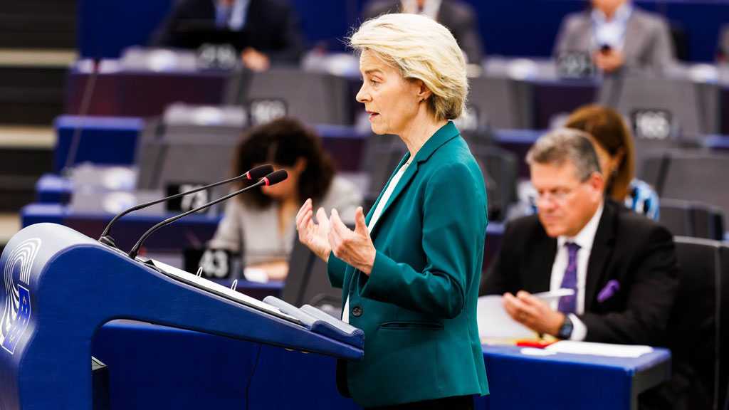 Politico: Von der Leyen Faces Twin No-Confidence Motions in EU Parliament