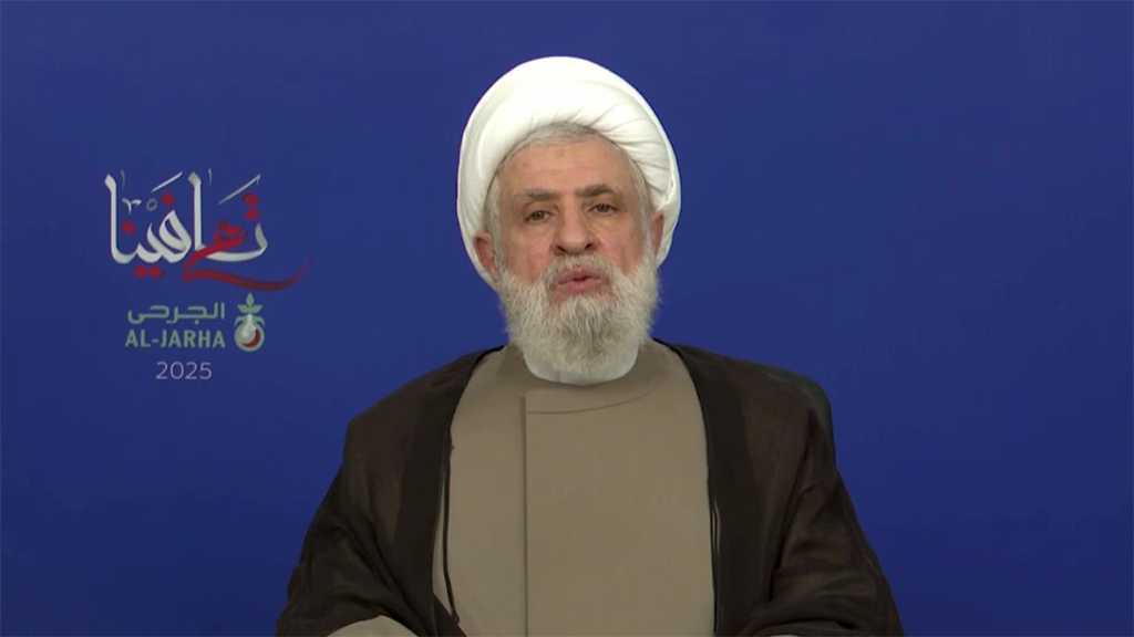 Sheikh Qassem to the Wounded: You Are the Light Through Which We See the Safety of Our Path