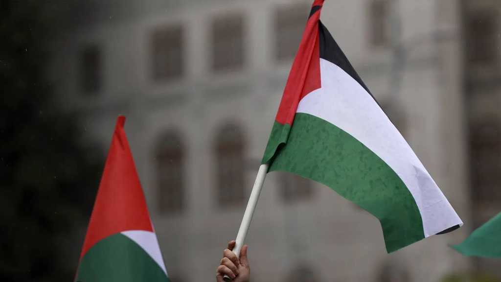 Belgium, Luxembourg and Malta Join Wave of States Recognizing Palestine