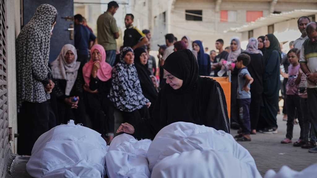 Hague Group Targets ‘Israel’ With Legal, Economic Action