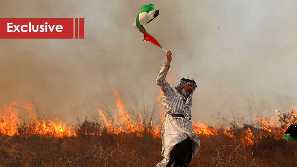 The Illusion of “Peace”: Trump’s Deal and the Arab Betrayal of Palestine