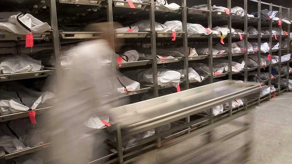 USC Supplied Human Cadavers for ’Israeli’ Military Training, Records Show