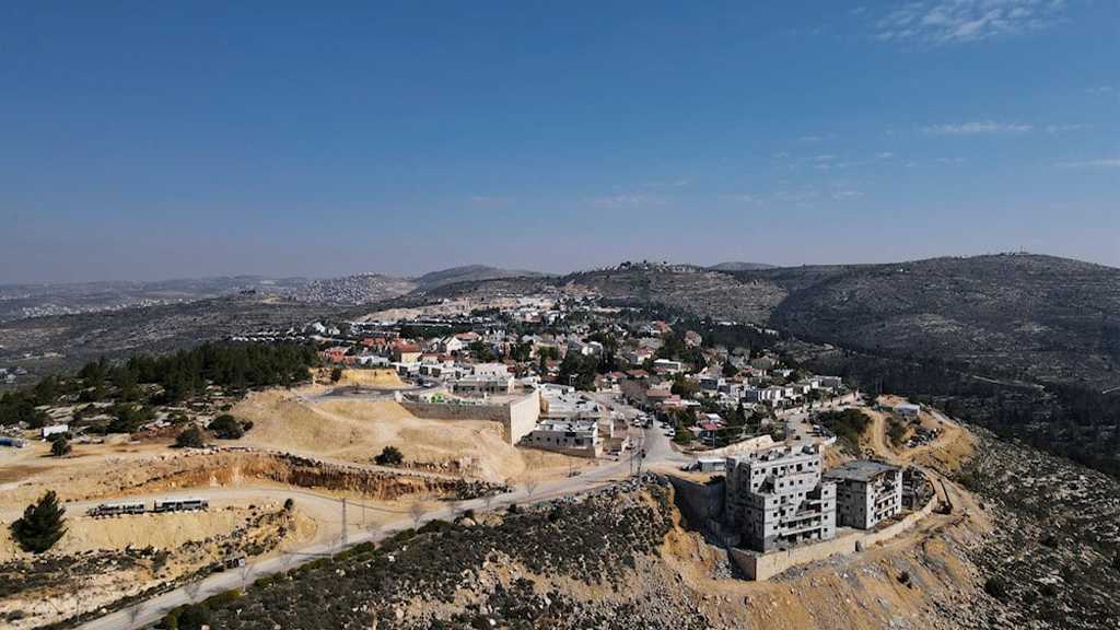 Irish Presidential Frontrunner Accuses Government of Bowing to US Pressure on ’Israel’ Sanctions Bill