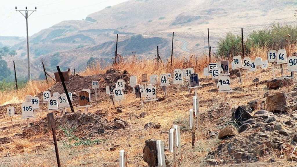 ’Israel’ Holds 735 Palestinian Martyrs, Among Them Children