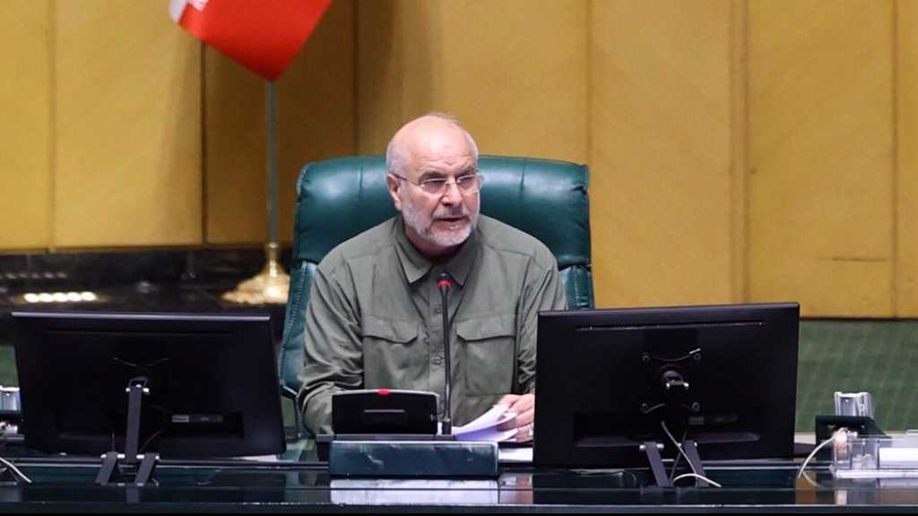 Iran Backs Any Gaza Peace Plan Supported by Palestinians