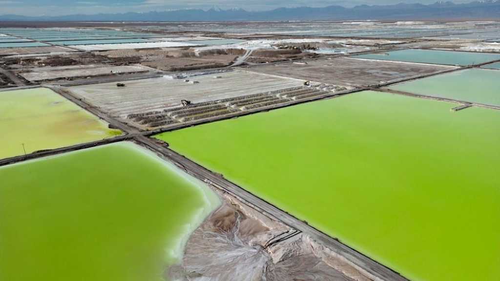 Trump’s Rare Earth Move Sparks Global Investor Rush