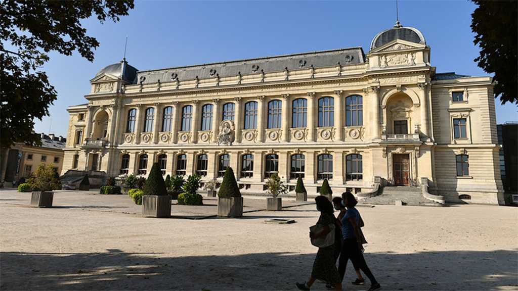 Chinese Suspect Charged Over €1.5 Million Gold Heist at Paris Museum