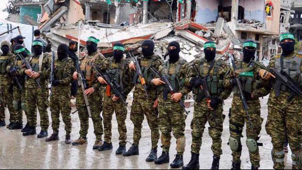 Hamas Plans Massive Operation Targeting “Israeli”‑Backed Gangs