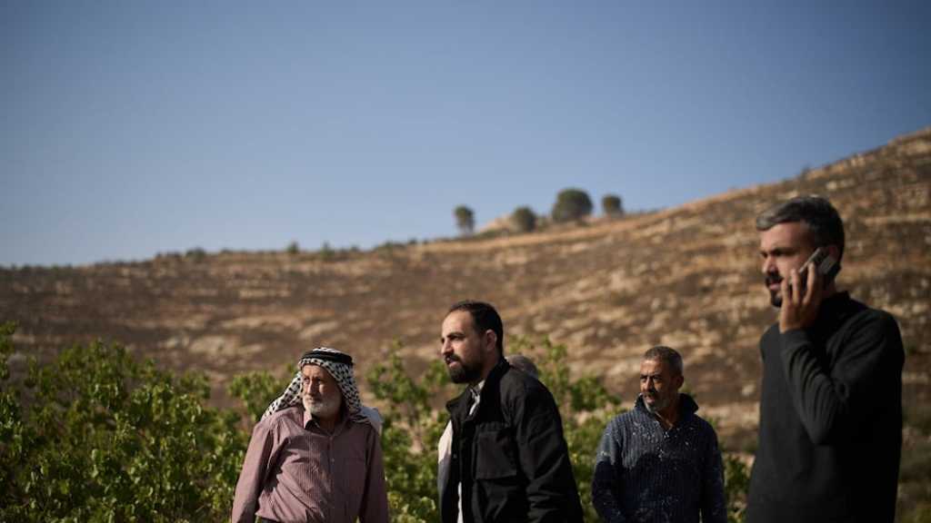 “Israeli” Settlers Attack WB amid IOF Detentions in Tulkarm