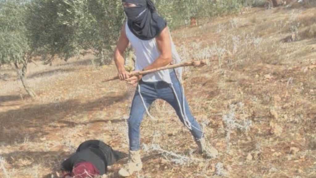 Violence On Display: Settlers Celebrate Assaults On WhatsApp Channel