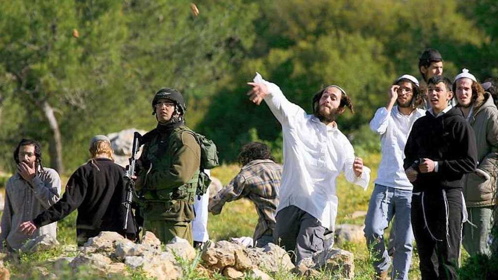 “Israeli” Settlers Seize Hundreds of Acres of Palestinian Farmland in West Bank