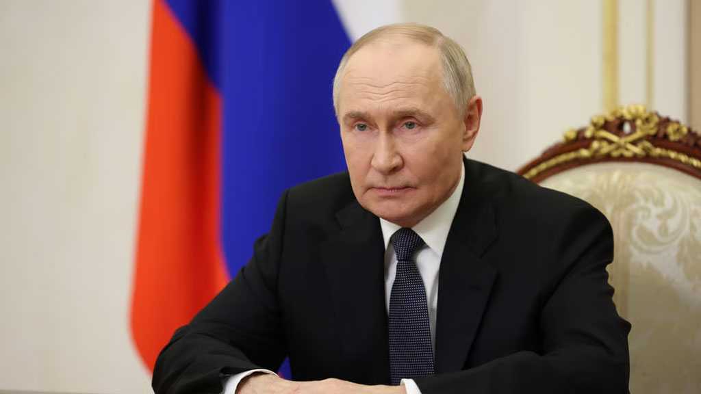 Putin Directs Gov’t to Draft Long-Term Rare-Earth Minerals Plan