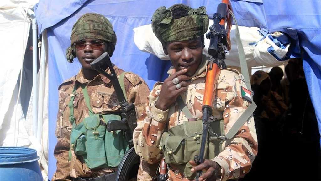 Amnesty Urges Probe into RSF Atrocities in Zamzam Camp