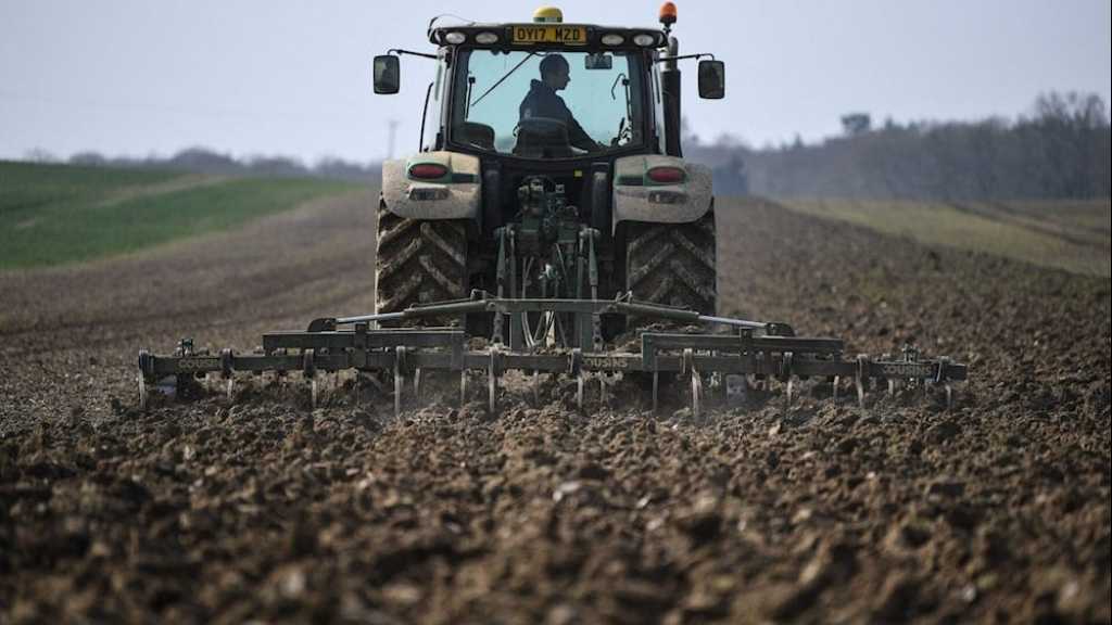 UK Farmers Face £800m Loss After Record-Breaking Heat, Drought
