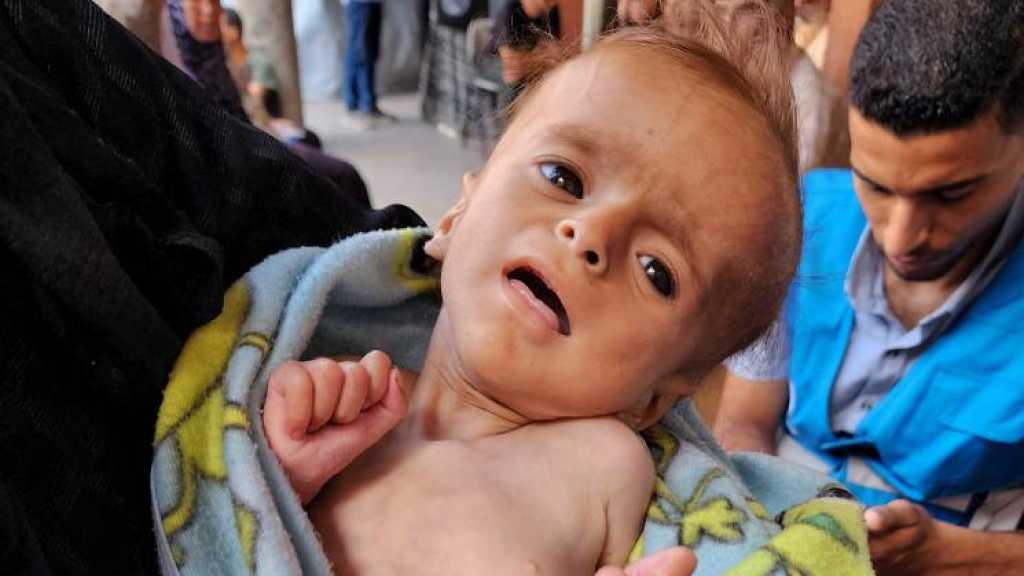 UNICEF: Gaza’s Babies Scarred by War before First Breath by Malnutrition