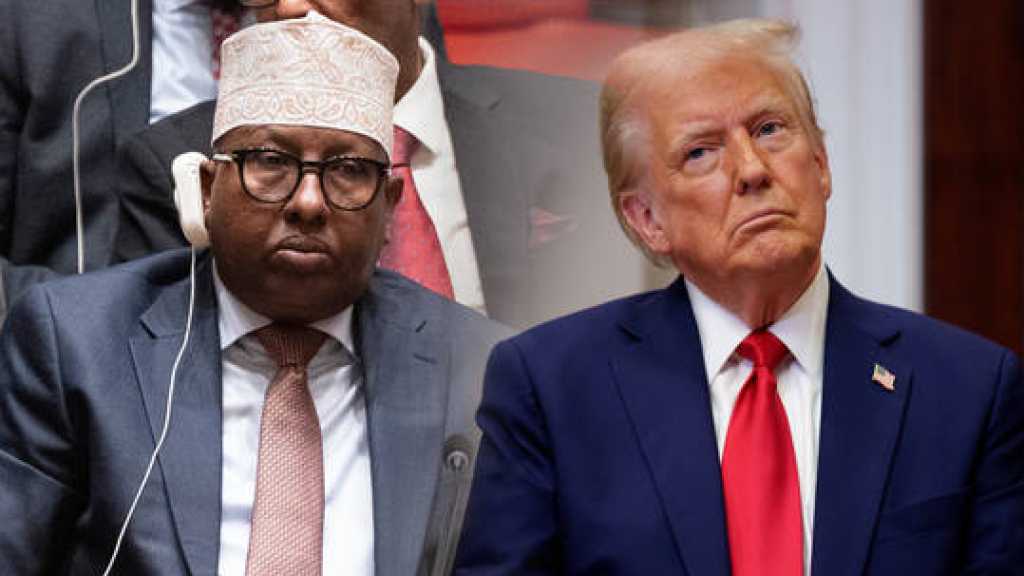 Somalia Fires Back at Trump’s Insult