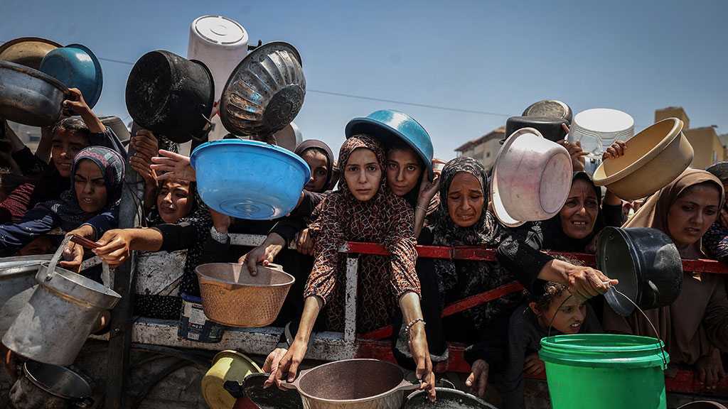 WHO Warns Gaza Famine Crisis Remains Fragile amid “Israeli” Blockade