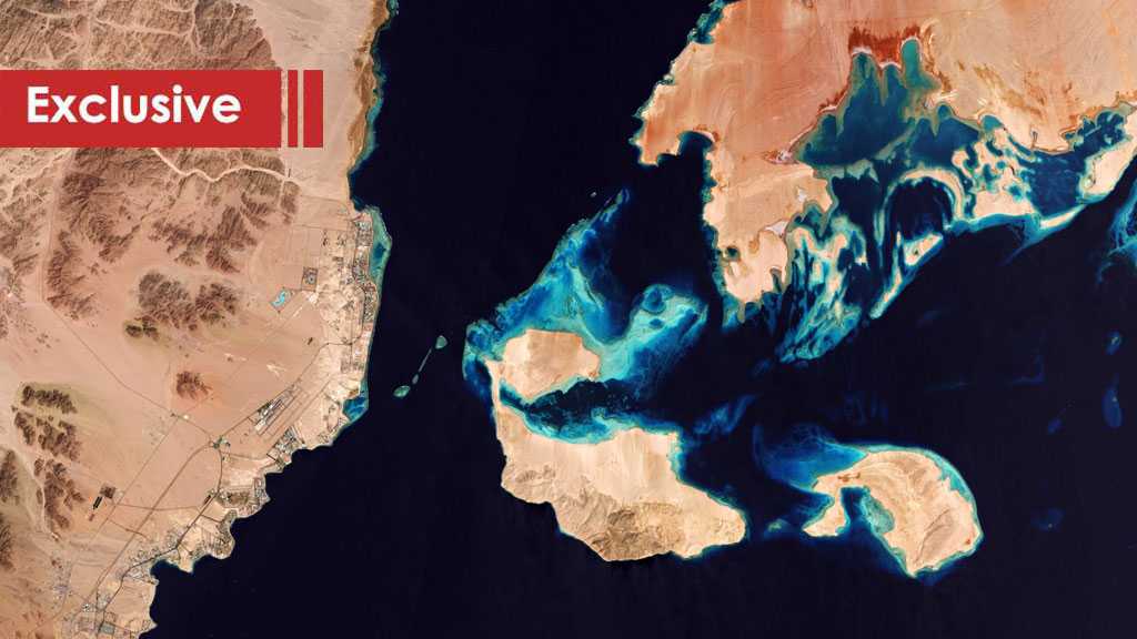 The Cartel of the Coast: Why the UAE and “Israel” Are Engineering a New Middle East