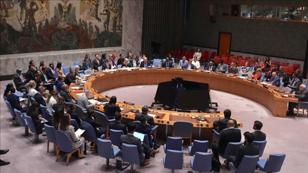 UNSC Slams ’Israel’s’ Illegitimate Somaliland Recognition